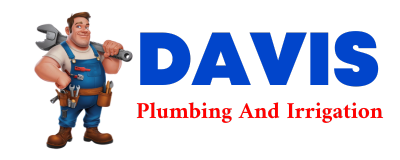 Trusted plumber in LUNING